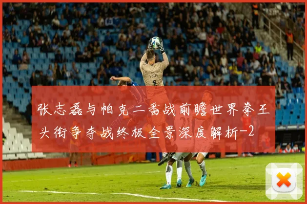 张志磊与帕克二番战前瞻世界拳王头衔争夺战终极全景深度解析