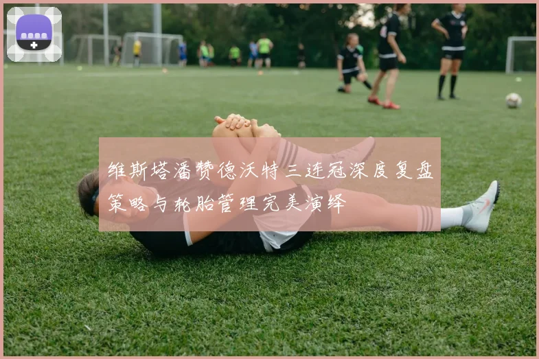 维斯塔潘赞德沃特三连冠深度复盘策略与轮胎管理完美演绎