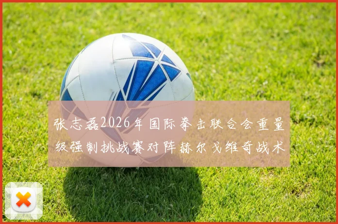 张志磊2026年国际拳击联合会重量级强制挑战赛对阵赫尔戈维奇战术多维解读