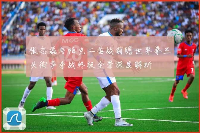 张志磊与帕克二番战前瞻世界拳王头衔争夺战终极全景深度解析
